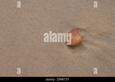 Red Rose rock sulla sabbia Foto Stock