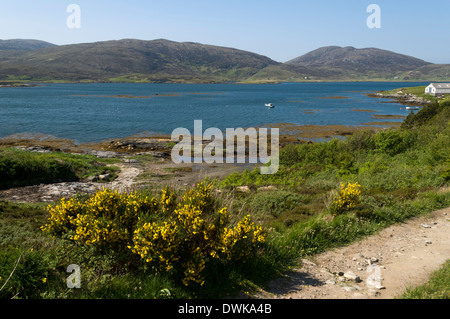 Vicino alla strada con testa sulla costa nord di Loch Eynort, Sud Uist, Western Isles, Scotland, Regno Unito Foto Stock