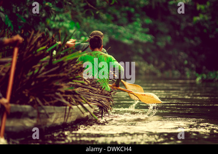 Canoa in Yasuni National Park Ecuador, carring impianto di paglia Foto Stock