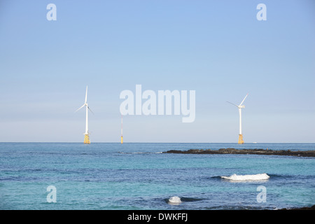 Il potere di vento generatori in mare, Jeju Island Foto Stock