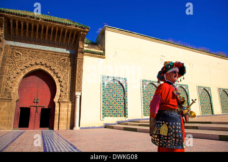 Vettore acqua in da del Mausoleo di Moulay Ismail, Meknes, Marocco, Africa Settentrionale, Africa Foto Stock