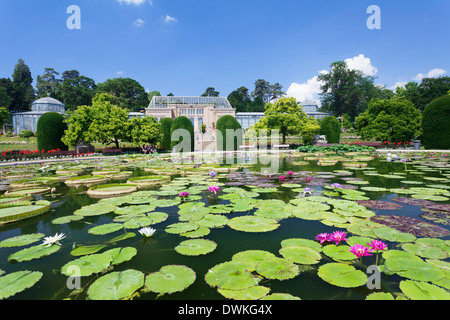 Giardino moresco con ninfee (genere Nymphaea), Wilhelma, il Giardino Zoologico e Botanico, Stoccarda, Baden Wurttemberg, Germania Foto Stock