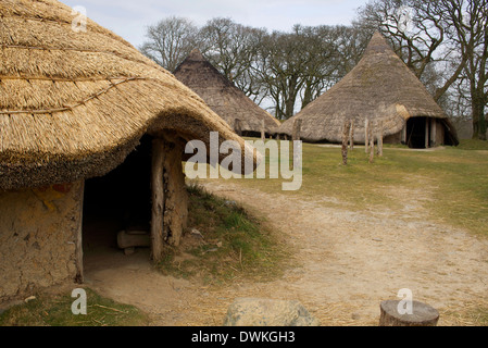 Castell Henllys, una ricostruzione di un età di ferro hill fort circa 600BC, Il Pembrokeshire Coast National Park, Pembrokeshire, Wales, Regno Unito Foto Stock