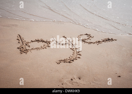 Bye scritto sulla sabbia in spiaggia di Gandia, Spagna Foto Stock