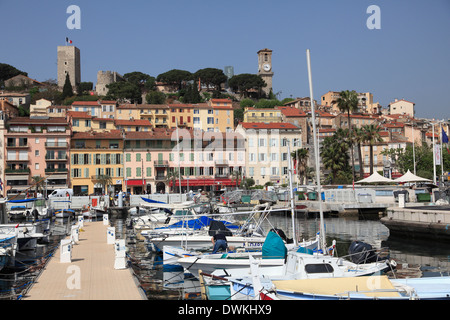 Porto, porto, le Suquet, Città Vecchia, Cannes, Alpes Maritimes, Cote d'Azur, in Provenza Costa Azzurra, Francia, Europa Foto Stock