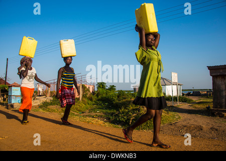 Le donne che trasportano contenitori di acqua sulla loro testa portando acqua home dal lago Albert, Uganda, Africa orientale, Africa Foto Stock