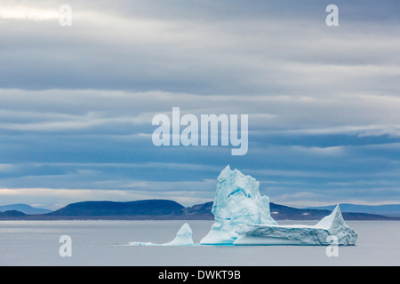 Cuspidata iceberg nella baia di Isabella, Isola Baffin, Nunavut, Canada, America del Nord Foto Stock