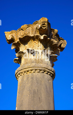 Scavi della città romana, Volubilis, Sito Patrimonio Mondiale dell'UNESCO, Marocco, Africa Settentrionale, Africa Foto Stock