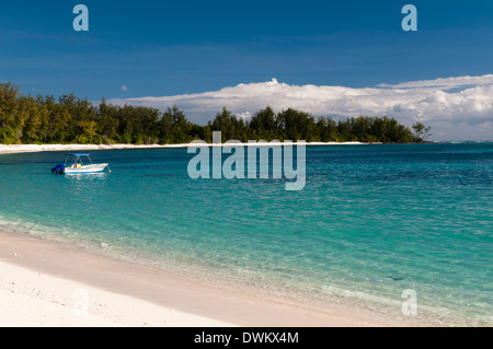 Denis Island, Seychelles, Oceano indiano, Africa Foto Stock