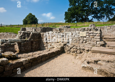 Bath House, Chesters Roman Fort, Northumbria Foto Stock