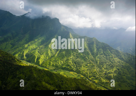 Antenna del robusto interno dell'isola di Kauai, Hawaii, Stati Uniti d'America, il Pacifico Foto Stock