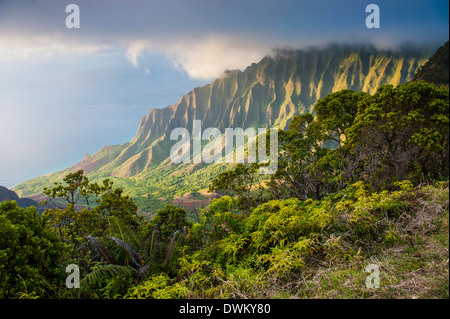 Kalalau lookout sulla Costa Napali dal Kokee State Park, Kauai, Hawaii, Stati Uniti d'America, il Pacifico Foto Stock