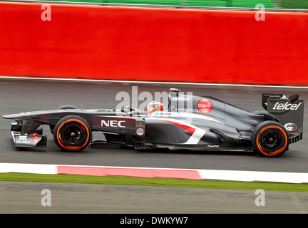 Nico Hulkenberg nel Sauber al Gran Premio di Formula 1 2013, Silverstone, Northamptonshire, Inghilterra, Regno Unito. Foto Stock