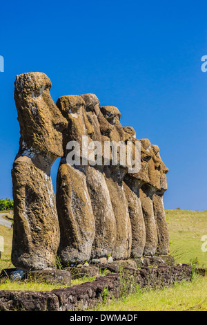 Sette Moai a Ahu Akivi, il primo altare restaurato sull'Isola di Pasqua (Isla de Pascua), sito UNESCO, Cile, Sud America Foto Stock
