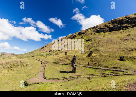 Rano Raraku, il sito di cava per tutti i moai statue sull'Isola di Pasqua (Isla de Pascua), sito UNESCO, Cile, Sud America Foto Stock