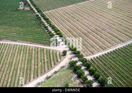 Vista aerea di vigneti vicino a Hermanus e Walker Bay, Overberg, Western Cape, Sud Africa e Africa Foto Stock