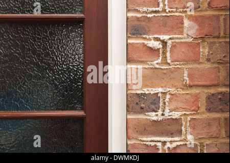 L'efflorescenza un bianco polverulento deposito salino di sali che si forma sulla superficie di brickwall di mattoni e malta di calce Foto Stock