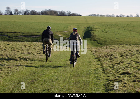 I bassamenti di Stonehenge - Grassland che circondano il cerchio di pietra di Stonehenge. Inghilterra, Regno Unito Foto Stock