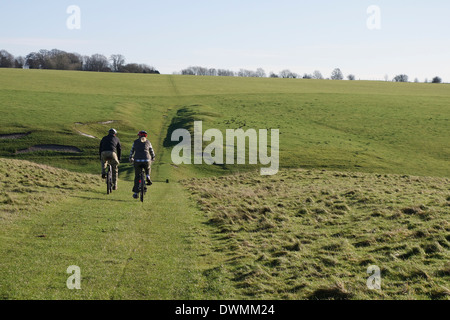 I bassamenti di Stonehenge - Grassland che circondano il cerchio di pietra di Stonehenge. Inghilterra, Regno Unito Foto Stock