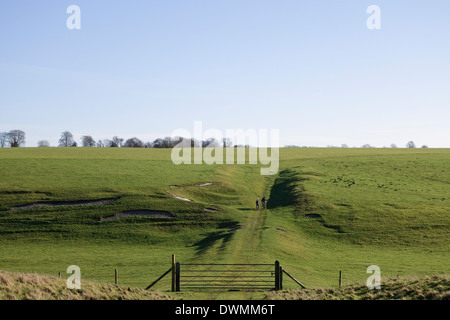 Prateria che circonda il cerchio di pietre di Stonehenge, Inghilterra, Regno Unito Foto Stock