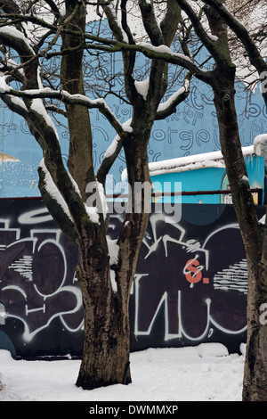 Coperte di neve alberi dirige anche graffiti-parete coperta nel centro di Reykjavik Foto Stock