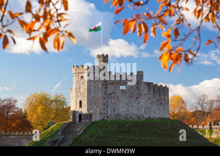 Norman tenere, Castello di Cardiff, Cardiff, Galles, Regno Unito, Europa Foto Stock