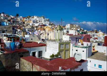 La medina (città vecchia), Tangeri, Marocco, Africa Settentrionale, Africa Foto Stock