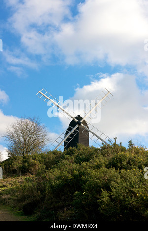 Reigate Heath mulino con Ulex Europaeus Gorse in primo piano Foto Stock