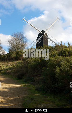 Reigate Heath mulino con Ulex Europaeus Gorse in primo piano Foto Stock