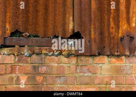 Rusty ferro corrugato e parete di mattoni sfondo texture Foto Stock