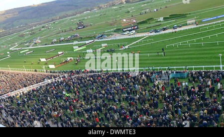 Cheltenham, Gloucestershire, UK. Undicesimo Mar, 2014. Foto scattata dalla cima delle gabbie mostra la folla raccolta e guardare come Quevega vince il Olbg Mare corsa ad ostacoli per un record sesto tempo, riden da Ruby walsh al giorno uno del Cheltenham Gold Cup Festival 2014. Credito: Jules annan/Alamy Live News Foto Stock