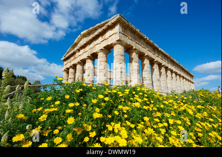 Tempio greco di Segesta , Distretto di Trapani, Sicilia, Italia, Europa Foto Stock