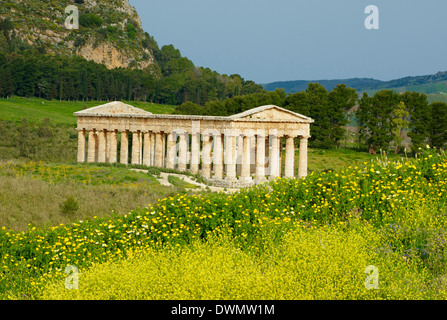 Tempio greco di Segesta , Distretto di Trapani, Sicilia, Italia, Europa Foto Stock