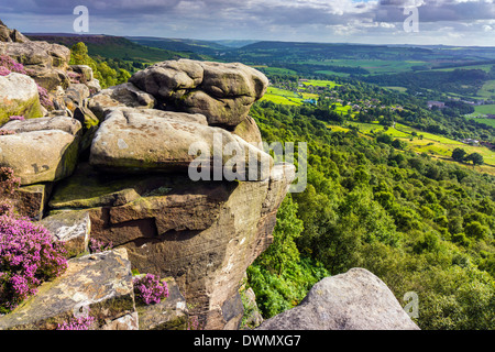 Gritstone massi, viola heather, Curbar Edge, Derbyshire, Peak District Foto Stock