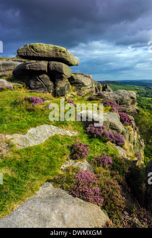 Gritstone massi, viola heather, Curbar Edge, Derbyshire, Peak District Foto Stock