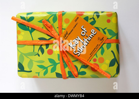 Gift Wrapped box di lussureggianti e raggio di sole prodotti cosmetici isolati su sfondo bianco Foto Stock