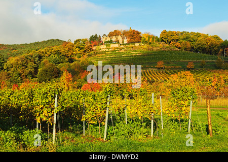 Il castello di Kropsburg e paesaggio di vigneti, nei pressi di San Martin, Itinerario dei vini tedeschi, Renania-Palatinato, Germania, Europa Foto Stock