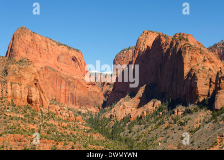 Kolob Canyon, il Parco Nazionale di Zion, Utah, Stati Uniti d'America, America del Nord Foto Stock