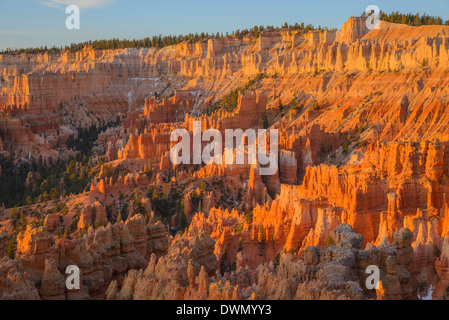 Bryce Canyon all'alba, dal punto al tramonto, Parco Nazionale di Bryce Canyon, Utah, Stati Uniti d'America, America del Nord Foto Stock