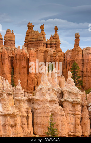 Bryce Canyon all'alba, dal punto al tramonto, Parco Nazionale di Bryce Canyon, Utah, Stati Uniti d'America, America del Nord Foto Stock