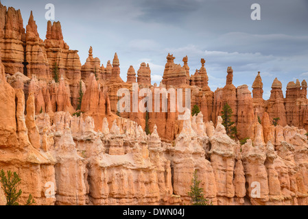 Bryce Canyon all'alba, dal punto al tramonto, Parco Nazionale di Bryce Canyon, Utah, Stati Uniti d'America, America del Nord Foto Stock