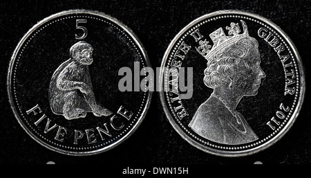 5 pence coin, Gibilterra, 2011 Foto Stock