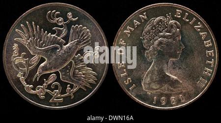 2 pence coin, Manx Shearwater bird, Isola di Man, 1981 Foto Stock