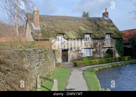 Tipica tradizionale inglese river cottage con tetto in paglia. Thornton Le Dale North Yorkshire Regno Unito Foto Stock