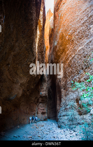 Echidna Chasm, Parco Nazionale di Purmululu, sito UNESCO, Bungle Bungle Range di montagna, Australia occidentale, Australia Pacific Foto Stock