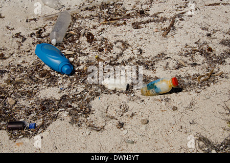 Belize, il Mare dei Caraibi, Wild Orchid Caye (aka Moho Caye). Piccola isola privata nel Mar dei Caraibi. Spiaggia coperta con plastica. Foto Stock