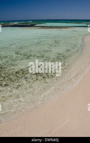 Belize, il Mare dei Caraibi, Wild Orchid Caye (aka Moho Caye). Piccola isola privata situata nel mare dei Caraibi lungo la barriera corallina. Foto Stock