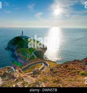 A sud di stack, faro di Isola Santa, Anglesey, Gwynedd, Wales, Regno Unito, Europa Foto Stock