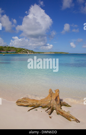 Vista di Long Bay e Beach, Long Bay, Antigua, Isole Sottovento, West Indies, dei Caraibi e America centrale Foto Stock