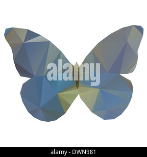 Triangolo butterfly Foto Stock